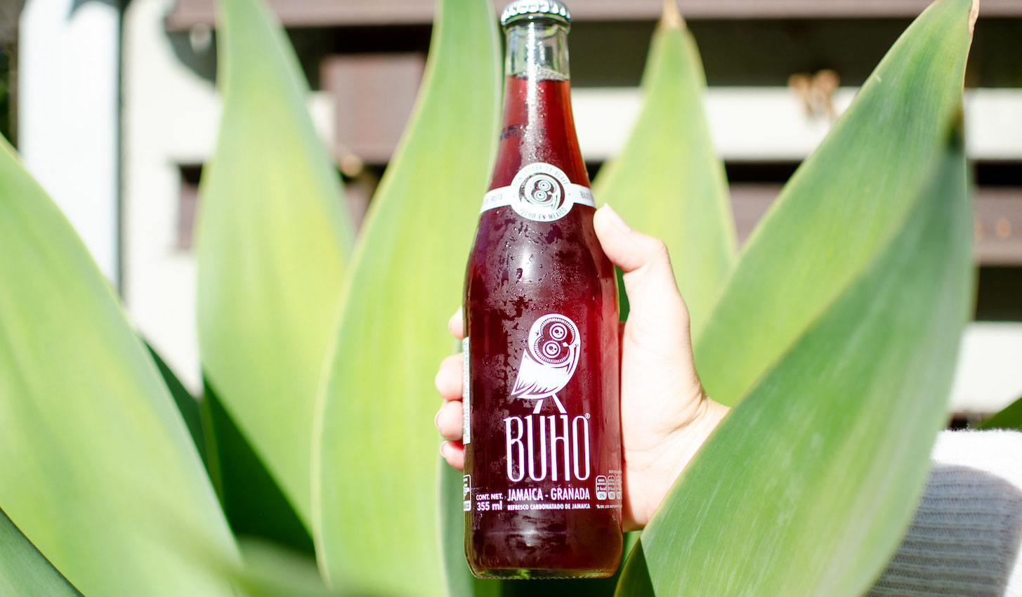 A Hand Holding a Bottle of Buho Soda from Behind a Plant