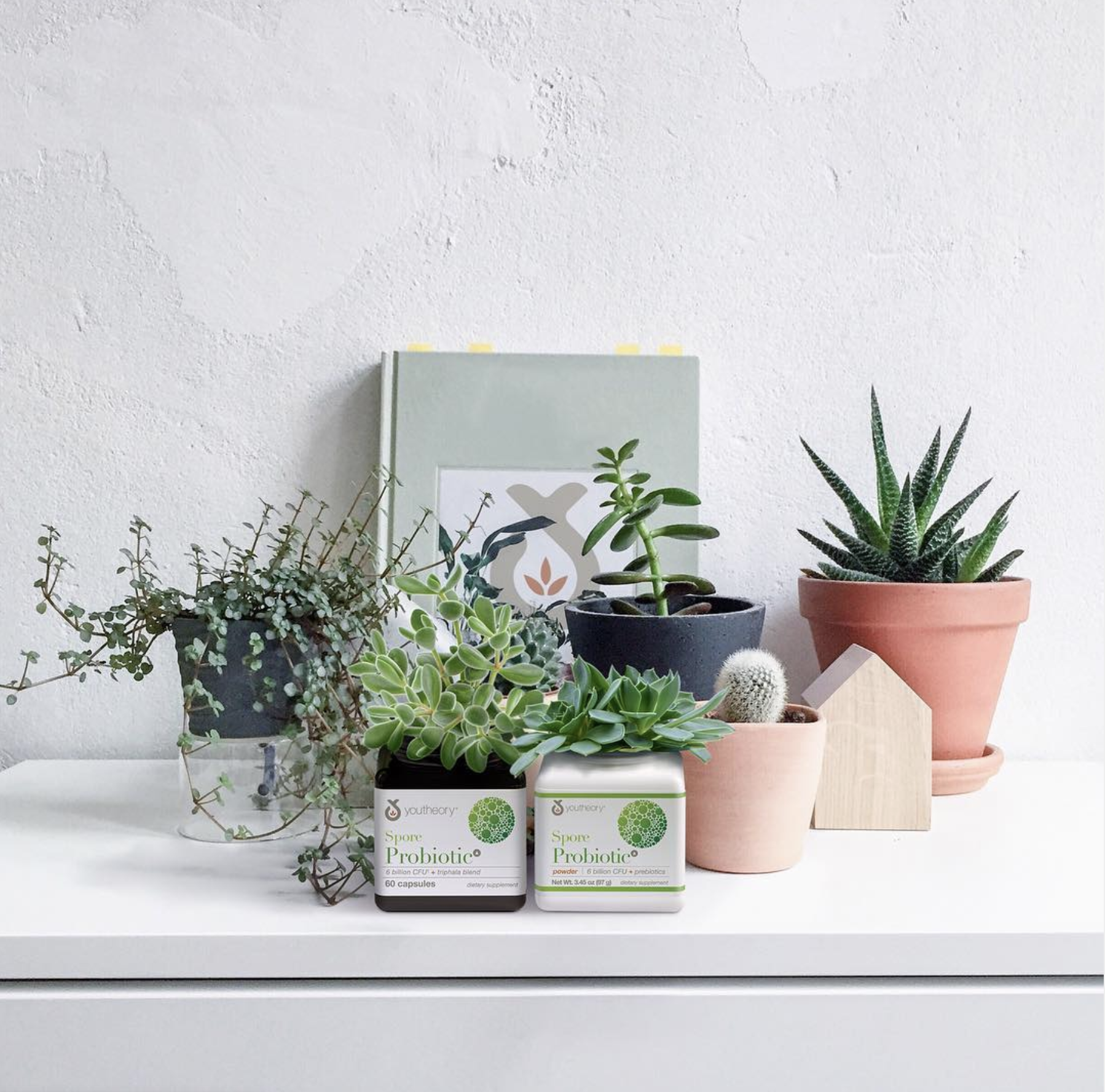 Youtheory probiotics powder with succulents