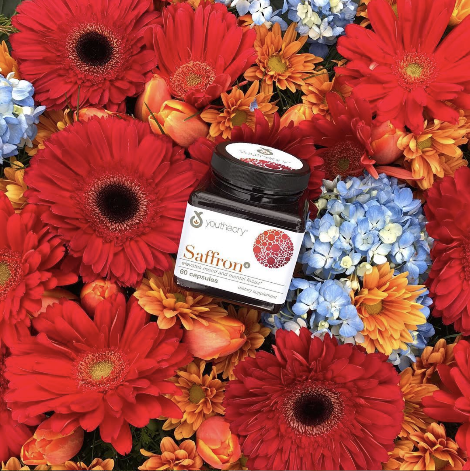 Youtheory Saffron powder surrounded by flowers